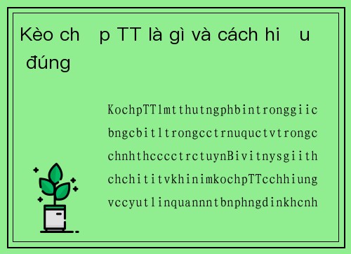 Kèo chấp TT là gì và cách hiểu đúng