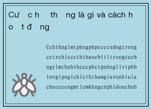 Cược hệ thống là gì và cách hoạt động