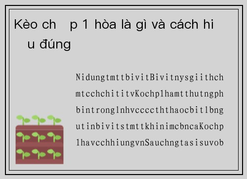 Kèo chấp 1 hòa là gì và cách hiểu đúng