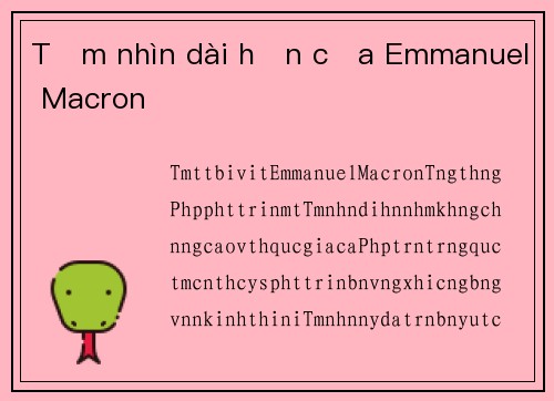 Tầm nhìn dài hạn của Emmanuel Macron